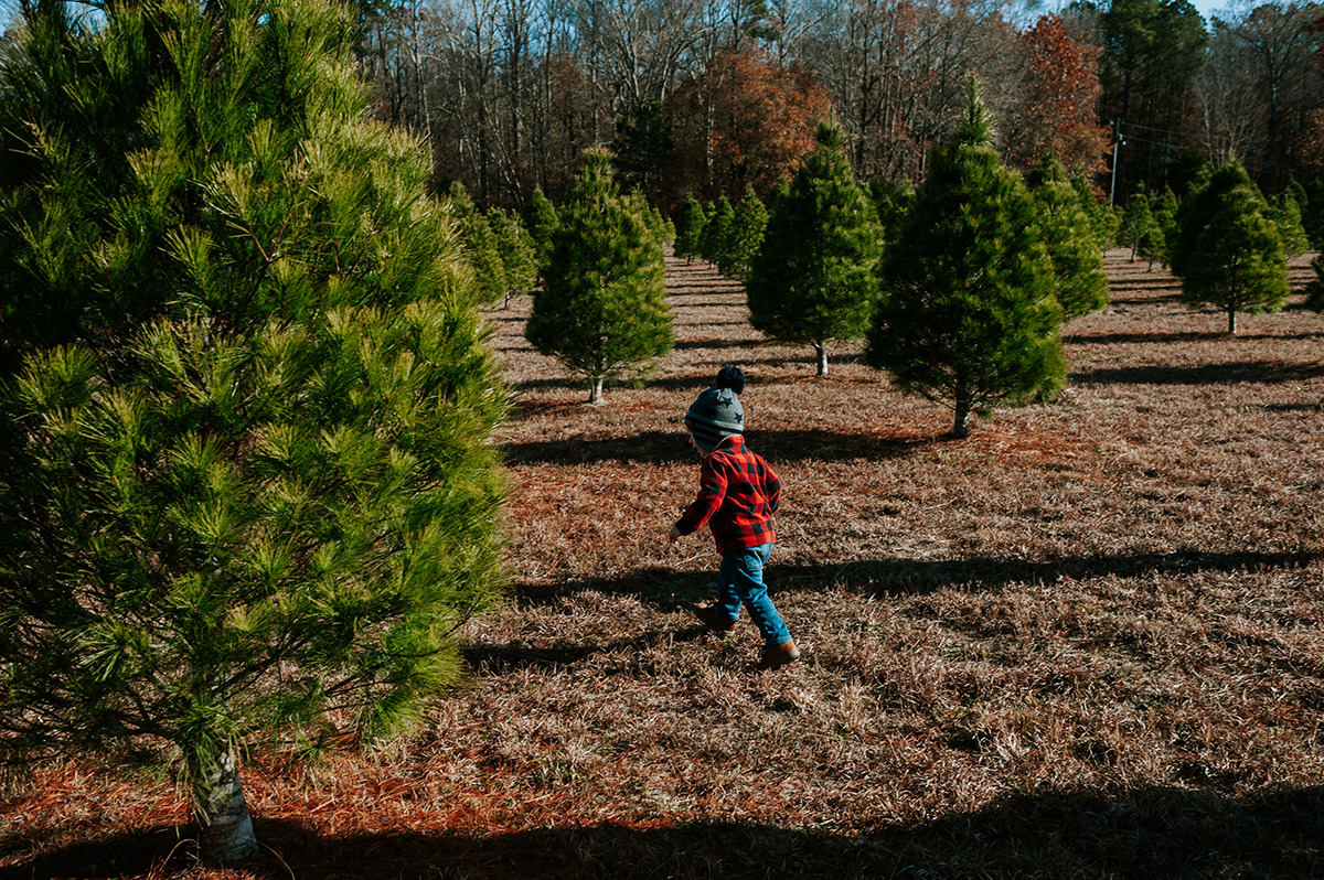 little boy running in between Christmas trees