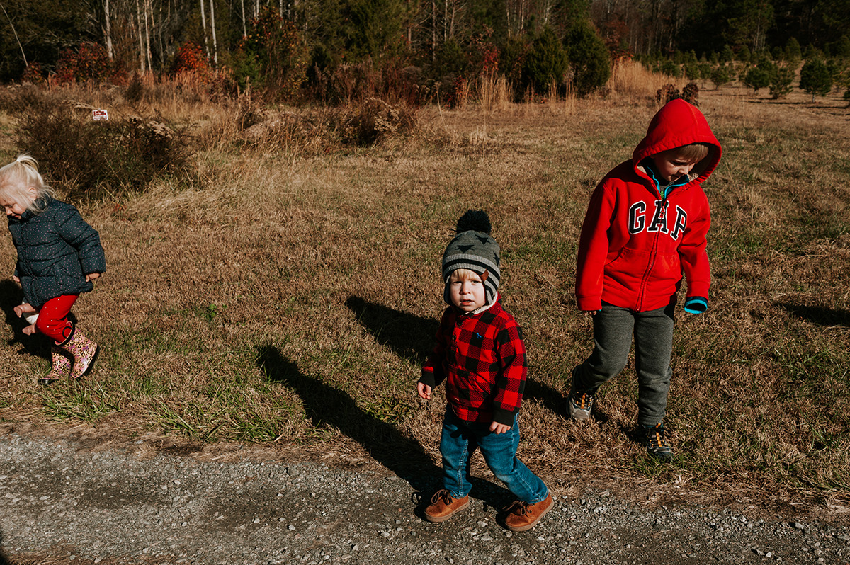 children searching for perfect Christmas tree