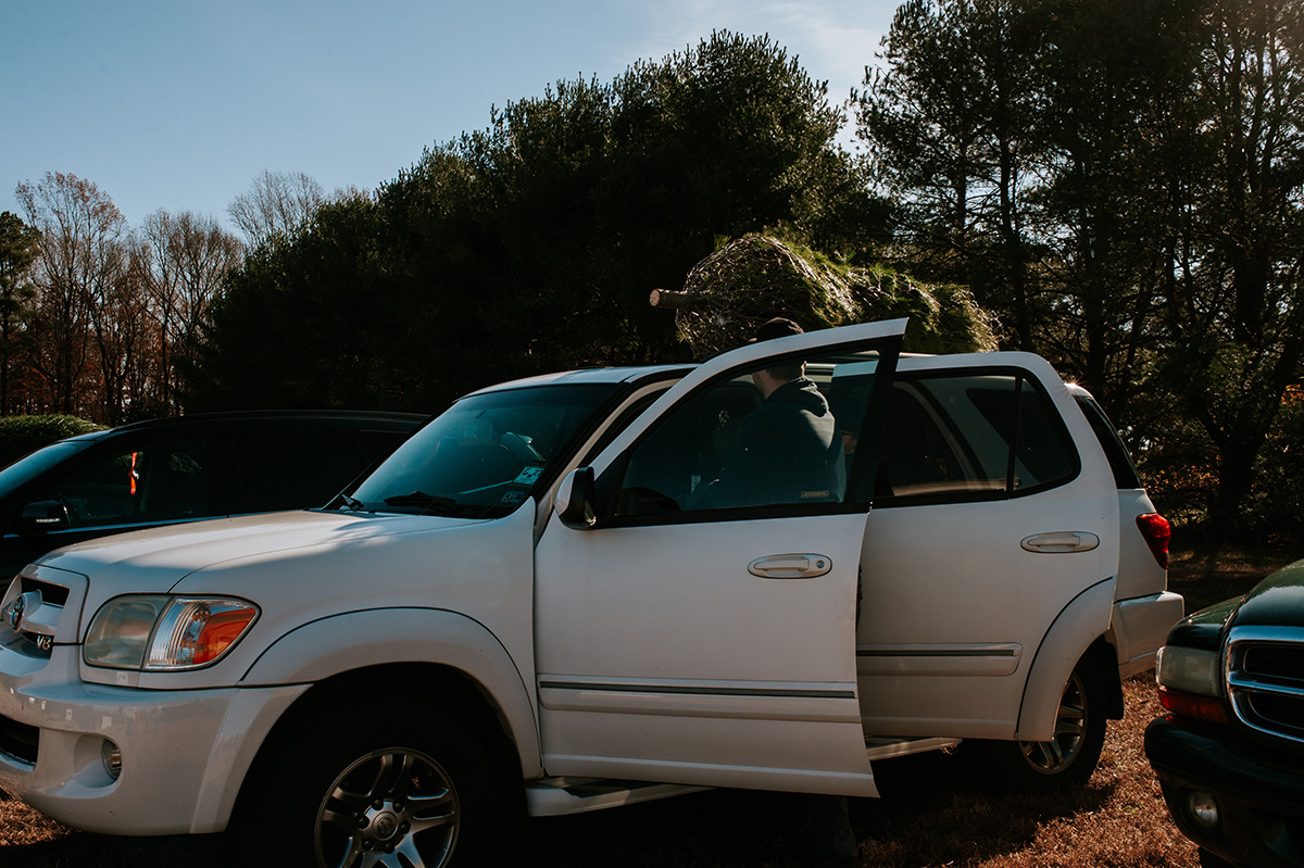 tying Christmas tree on car