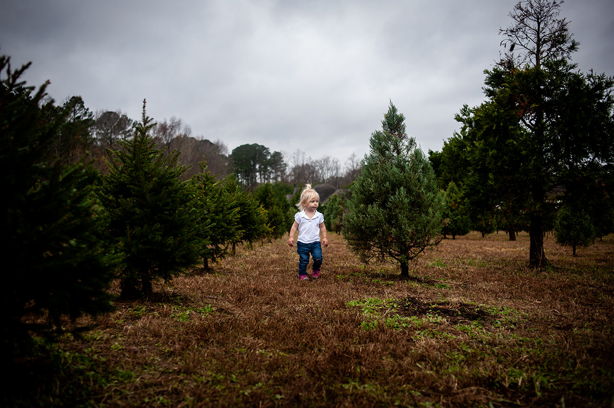 girl standing in row of Christmas trees