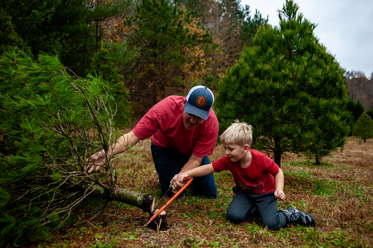 father and son cutting down Christmas tree