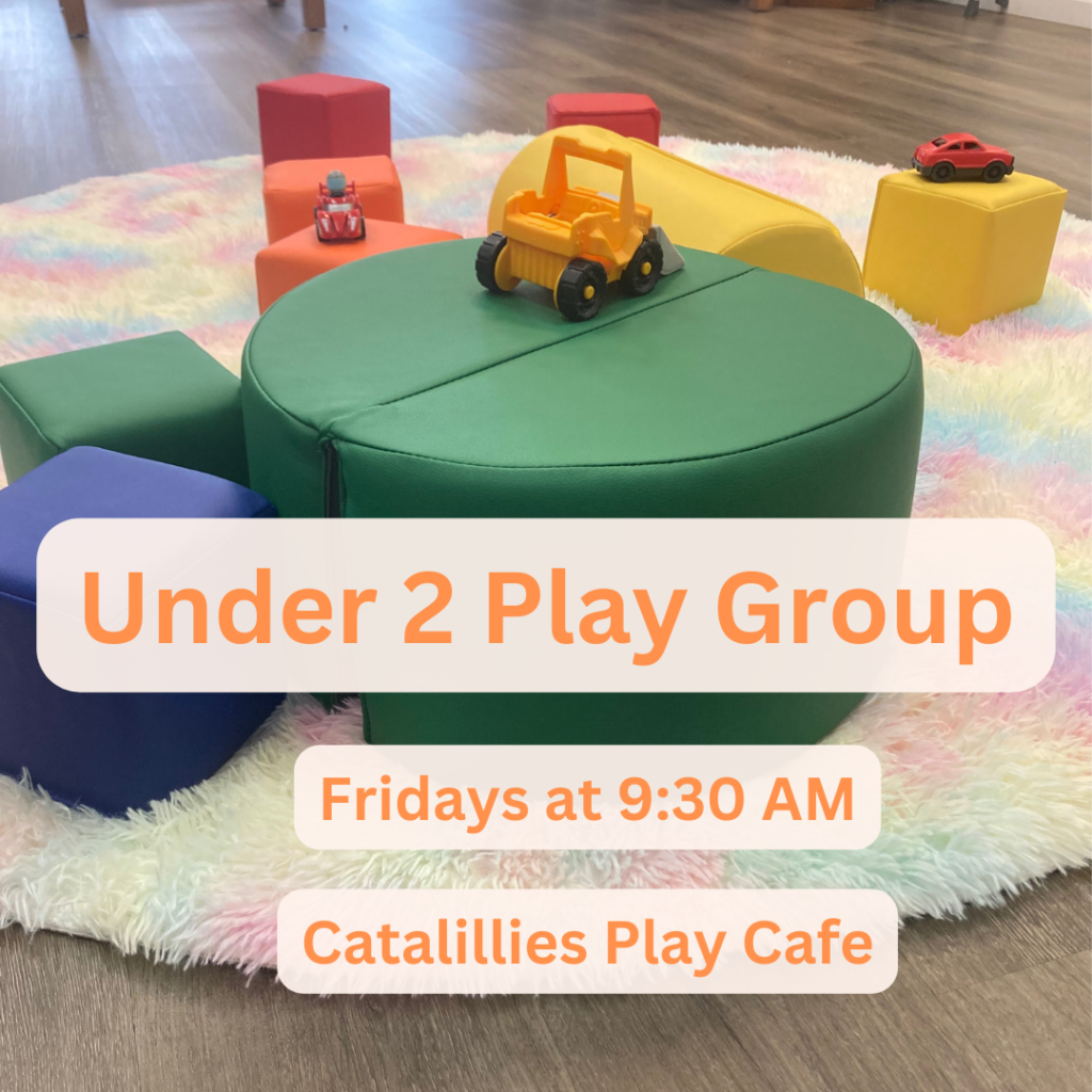Catlillies Play Cafe under 2 play group.
